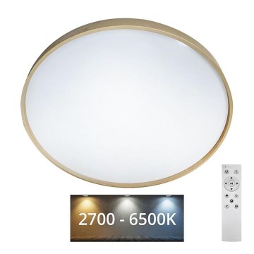 LED Dimmelhető mennyezeti lámpa DRINA LED/36W/230V 2700-6500K átm. 50 cm + távirányítás
