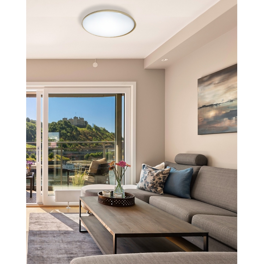 LED Dimmelhető mennyezeti lámpa DRINA LED/36W/230V 2700-6500K átm. 50 cm + távirányítás