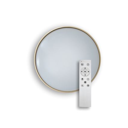 LED Dimmelhető mennyezeti lámpa DRINA LED/36W/230V 2700-6500K átm. 50 cm + távirányítás