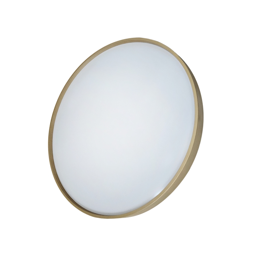 LED Dimmelhető mennyezeti lámpa DRINA LED/36W/230V 2700-6500K átm. 50 cm + távirányítás