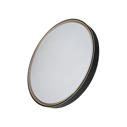LED Dimmelhető mennyezeti lámpa EBRO LED/36W/230V 2700-6500K átm. 50 cm + távirányítás