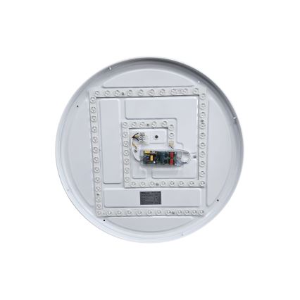 LED Dimmelhető mennyezeti lámpa EBRO LED/36W/230V 2700-6500K átm. 50 cm + távirányítás