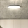 LED Dimmelhető mennyezeti lámpa ESTELA LED/36W/230V átm. 30 cm fehér + távirányítás