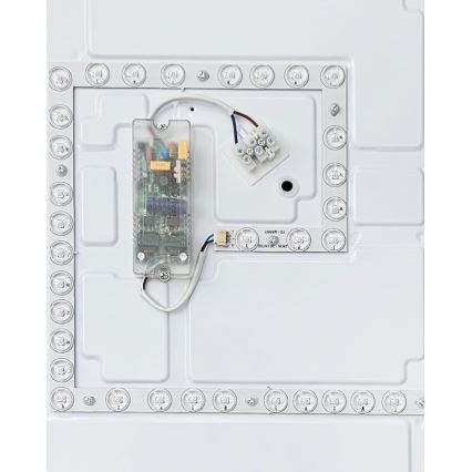 LED Dimmelhető mennyezeti lámpa FLORA LED/60W/230V 2700-6500K 53x53 cm + távirányítás