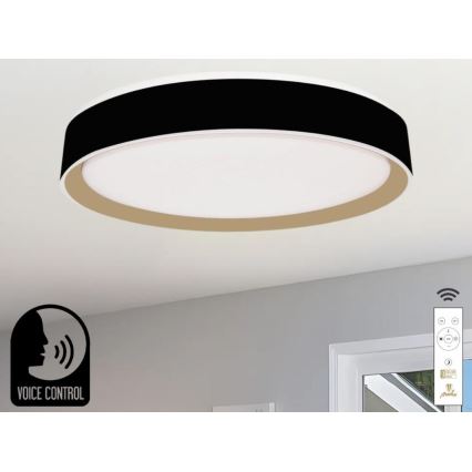LED Dimmelhető mennyezeti lámpa hangvezérléssel OPAL LED/48W/230V 2700-6500K fekete + távirányítás