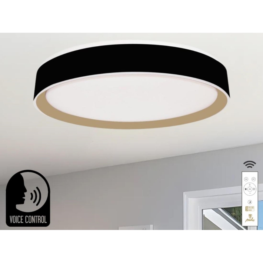 LED Dimmelhető mennyezeti lámpa hangvezérléssel OPAL LED/48W/230V 2700-6500K fekete + távirányítás