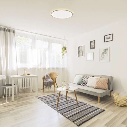LED Dimmelhető mennyezeti lámpa LED/24W/230V + távirányító kerek