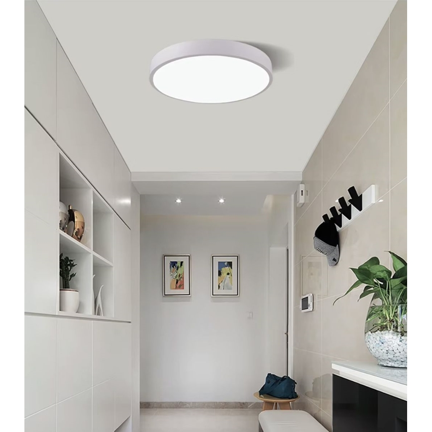 LED Dimmelhető mennyezeti lámpa LED/30W/230V 3000-6500K átm. 30 cm fehér + távirányítás