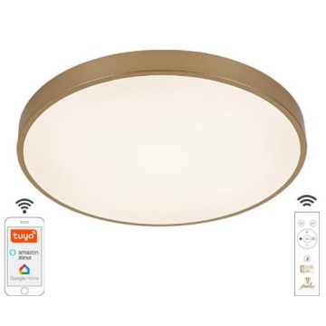 LED Dimmelhető mennyezeti lámpa LED/48W/230V 2700-6500K Wi-Fi Tuya + távirányítás
