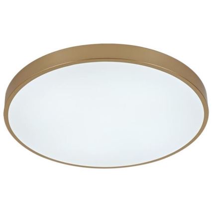 LED Dimmelhető mennyezeti lámpa LED/48W/230V 2700-6500K Wi-Fi Tuya + távirányítás