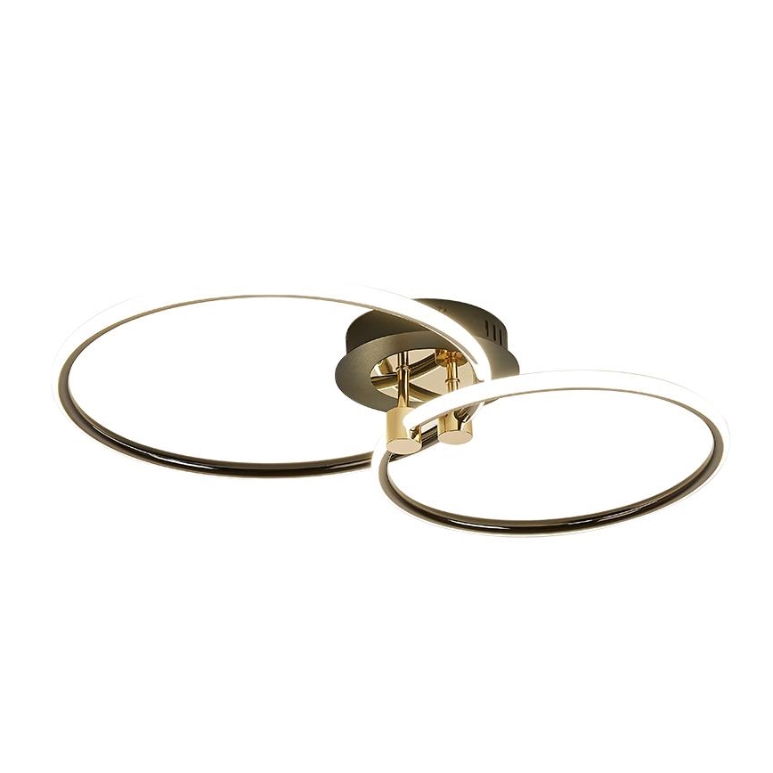 LED Dimmelhető mennyezeti lámpa LED/48W/230V 3000-6500K + távirányítás