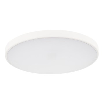 LED Dimmelhető mennyezeti lámpa PLAFON LED/20W/230V 3000-6500K Wi-Fi fehér