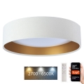 LED Dimmelhető mennyezeti lámpa SMART GALAXY LED/36W/230V á. 55 cm 2700-6500K Wi-Fi Tuya fehér/arany + távirányító