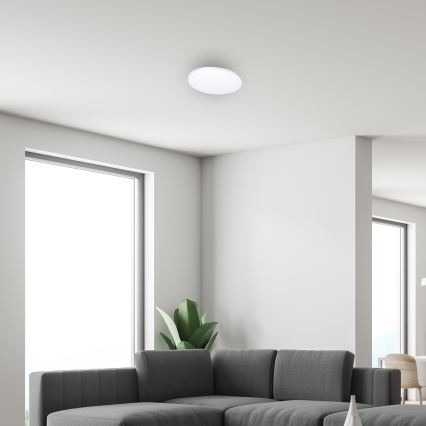 LED Dimmelhető mennyezeti lámpa távirányítóval SIENA LED/25W/230V