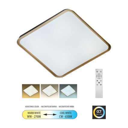 LED Dimmelhető mennyezeti lámpa UNA LED/60W/230V 2700-6500K 50x50 cm + távirányítás