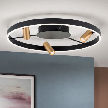 LED Dimmelhető mennyezeti lámpatest BERLIN LED/50W/230V fekete/arany