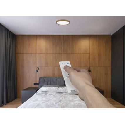 LED dimmelhető mennyezeti lámpa ILVI LED/30W/230V 2700-6500K Ø 40 cm fa dekor + távirányító