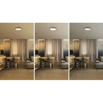 LED dimmelhető mennyezeti lámpa ILVI LED/30W/230V 2700-6500K Ø 40 cm fa dekor + távirányító