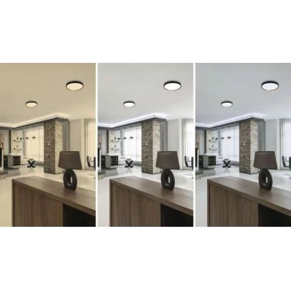 LED dimmelhető mennyezeti lámpa ILVI LED/30W/230V 2700-6500K átm. 40 cm fekete/bézs + távirányító