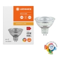LED dimmelhető reflektoros izzó MR16 GU5,3/6,6W/12V 4000K 36° CRI 97 - Ledvance