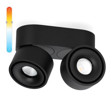 LED Dimmelhető spotlámpa LAHTI MINI 2xLED/9W/230V 3000K CRI 90 fekete