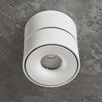 LED Dimmelhető spotlámpa LAHTI MINI LED/9W/230V 3000K CRI 90 fehér