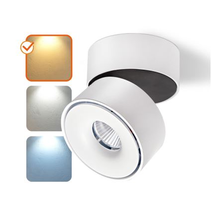 LED Dimmelhető spotlámpa LAHTI MINI LED/9W/230V 3000K CRI 90 fehér