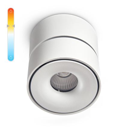 LED Dimmelhető spotlámpa LAHTI MINI LED/9W/230V 3000K CRI 90 fehér