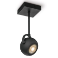 LED Dimmelhető spotlámpa NOP 1xGU10/5,8W/230V fekete