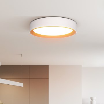 LED Dimmeres mennyezeti lámpa LARIOS LED/48W/230V 3000-6500K átm. 39 cm fehér + távirányító