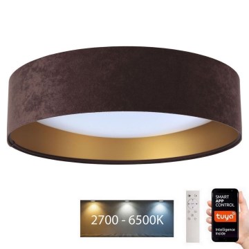 LED Dimmeres mennyezeti lámpa SMART GALAXY LED/36W/230V átmérő 55 cm 2700-6500K Wi-Fi Tuya barna/arany + távirányító