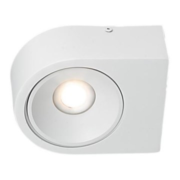 LED Fali lámpa LUCE LED/10W/230V
