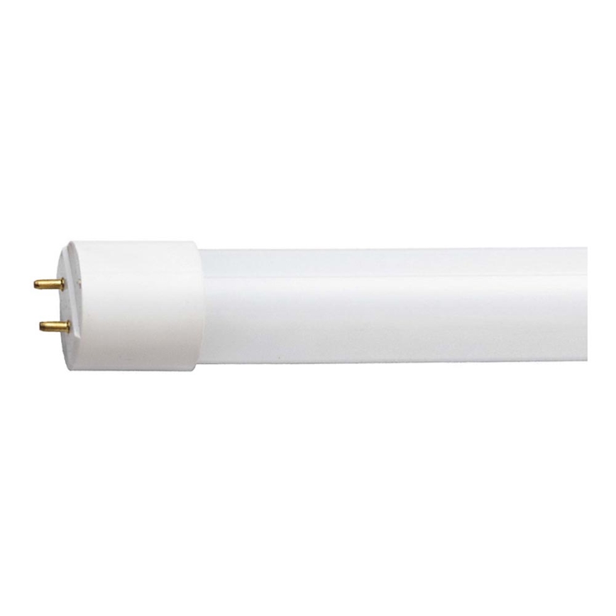 LED Fénycső G13/10W/230V 4000K
