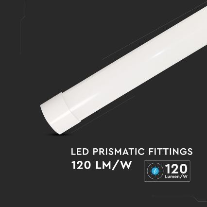 LED Fénycsöves lámpa LED/20W/230V 6500K 60 cm fehér