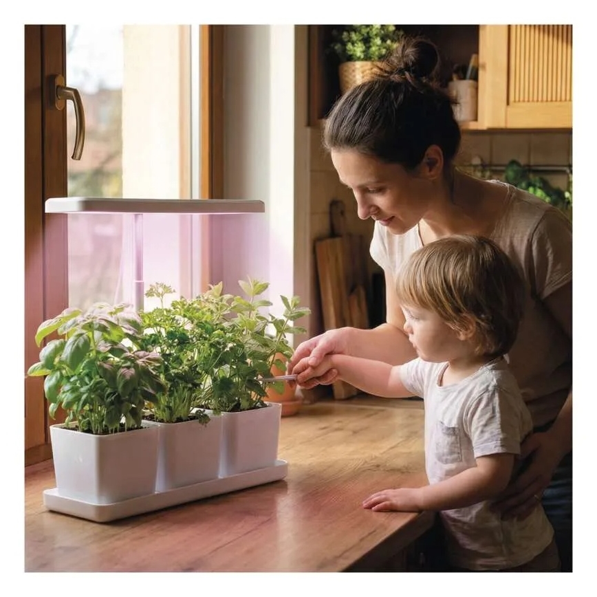 LED fényerőszabályozható beltéri növénynevelő lámpa GROW LED/7W/5V