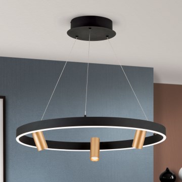 LED fényerőszabályozható csillár kábelen BERLIN LED/50W/230V fekete/arany