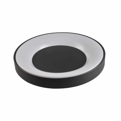 LED fényerőszabályozható fürdőszobai mennyezeti lámpa WITOLD LED/48W/230V, átm. 38,5 cm, 3000-6000K, IP44 + távirányító
