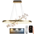 LED Fényerőszabályzós csillár kábelen LED/65W/230V 3000-6500K + távirányító