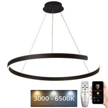 LED Fényerőszabályzós csillár kábellel LED/100W/230V 3000-6500K átm. 80 cm + távirányító