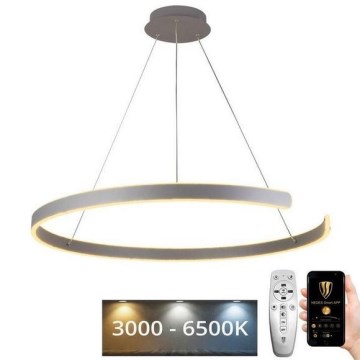 LED Fényerőszabályzós csillár kábellel LED/100W/230V 3000-6500K átm. 80 cm + távirányító