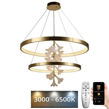 LED Fényerőszabályzós csillár kábellel LED/100W/230V 3000-6500K + távirányító