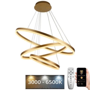 LED Fényerőszabályzós csillár kábellel LED/125W/230V 3000-6500K átm. 80 cm + távirányító