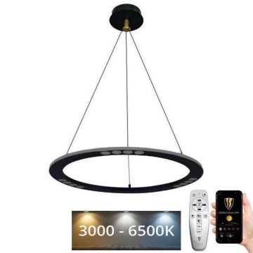 LED Fényerőszabályzós csillár kábellel LED/40W/230V 3000-6500K + távirányító