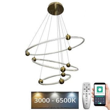 LED Fényerőszabályzós csillár kábellel LED/45W/230V 3000-6500K átm. 80 cm + távirányító