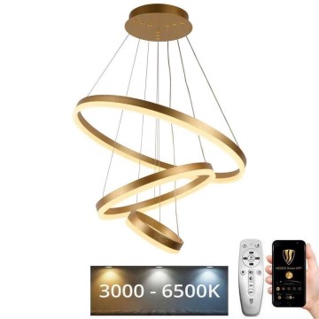 LED Fényerőszabályzós csillár kábellel LED/85W/230V 3000-6500K átm. 60 cm + távirányító