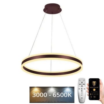 LED Fényerőszabályzós csillár kábellel LED/85W/230V 3000-6500K átm. 60 cm + távirányító