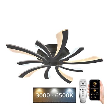 LED Fényerőszabályzós mennyezeti lámpa LED/55W/230V 3000-6500K + távirányító