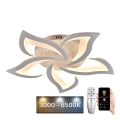 LED Fényerőszabályzós mennyezeti lámpa LED/55W/230V 3000-6500K + távirányító