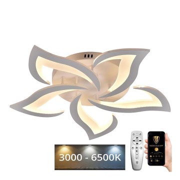 LED Fényerőszabályzós mennyezeti lámpa LED/55W/230V 3000-6500K + távirányító