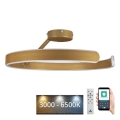 LED Fényerőszabályzós mennyezeti lámpa LED/72W/230V 3000-6500K arany + távirányító